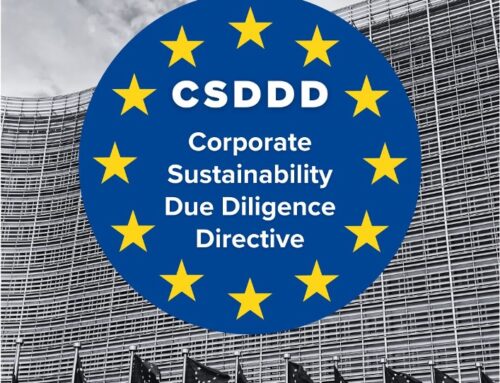 Avrupa Birliği Kurumsal Sürdürülebilirlik Özen Yükümlülüğü Direktifi (Corporate Sustainability Due Diligence Directive – CSDDD) ve Türkiye’ye Olası Etkileri